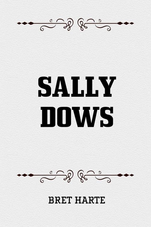 Cover of the book Sally Dows by Bret Harte, Krill Press