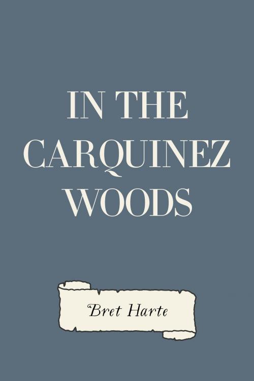 Cover of the book In the Carquinez Woods by Bret Harte, Krill Press