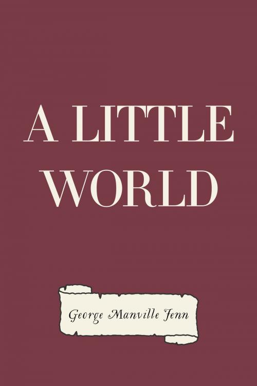 Cover of the book A Little World by George Manville Fenn, Krill Press