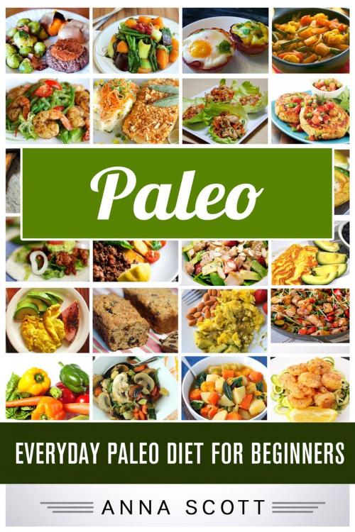 Cover of the book Paleo : Everyday Paleo Diet for Beginners by Anna Scott, Paleo recipes