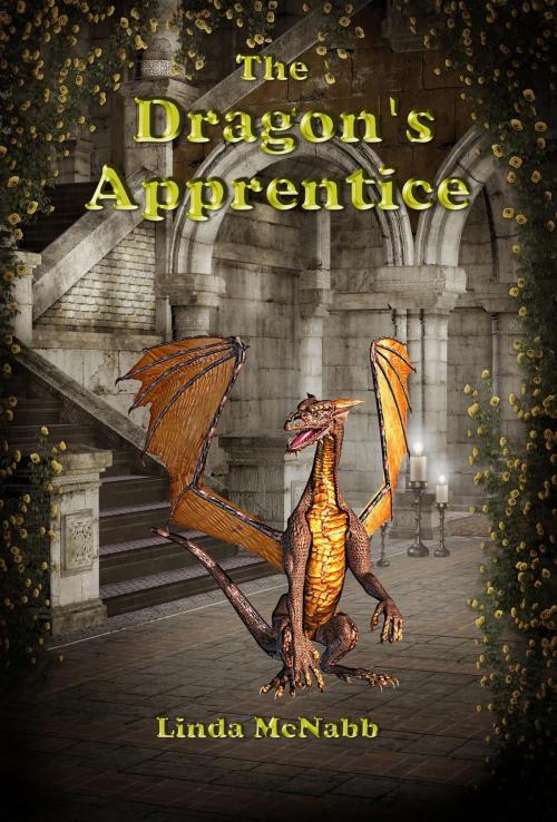Cover of the book The Dragon's Apprentice by Linda McNabb, Southern Star Publishing