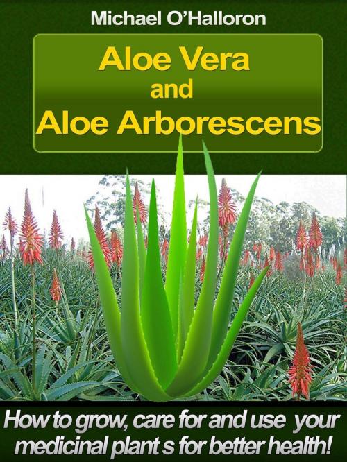 Cover of the book Aloe Vera and Aloe Arborescens: How to Grow, Care for and Use your Medicinal Plants for Better Health! by Michael O'Halloron, Five Fathom Publishing
