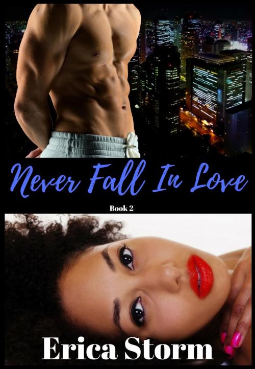 Cover of the book Never Fall In Love Book 2 by Erica Storm, Erica Storm