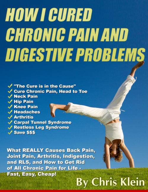 Cover of the book How I Cured Chronic Pain and Digestive Problems by Chris Klein, Chris Klein