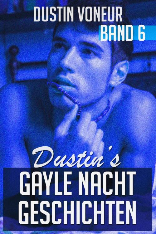 Cover of the book Dustin's Gayle Nacht Geschichten: Band 6 by Dustin Voneur, Heartbeat Books