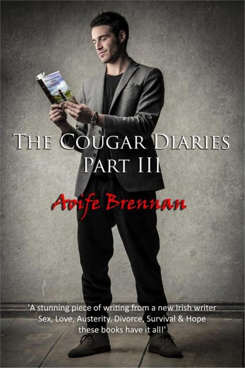 Cover of the book The Cougar Diaries, Part III by Aoife Brennan, Aoife Brennan