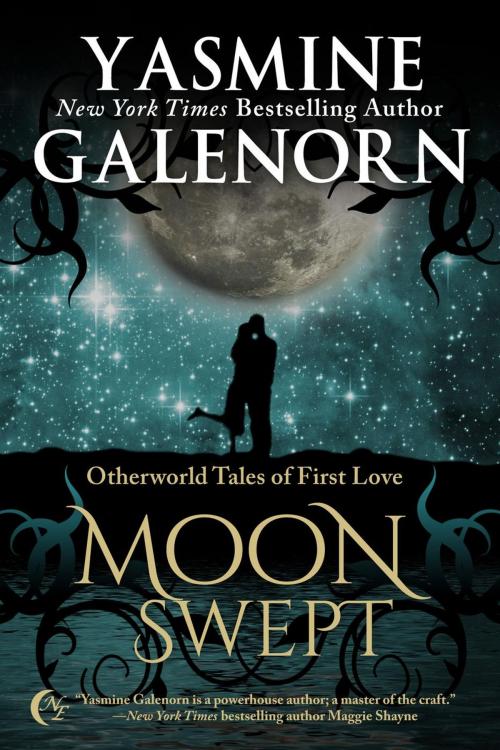 Cover of the book Moon Swept by Yasmine Galenorn, Nightqueen Enterprises LLC