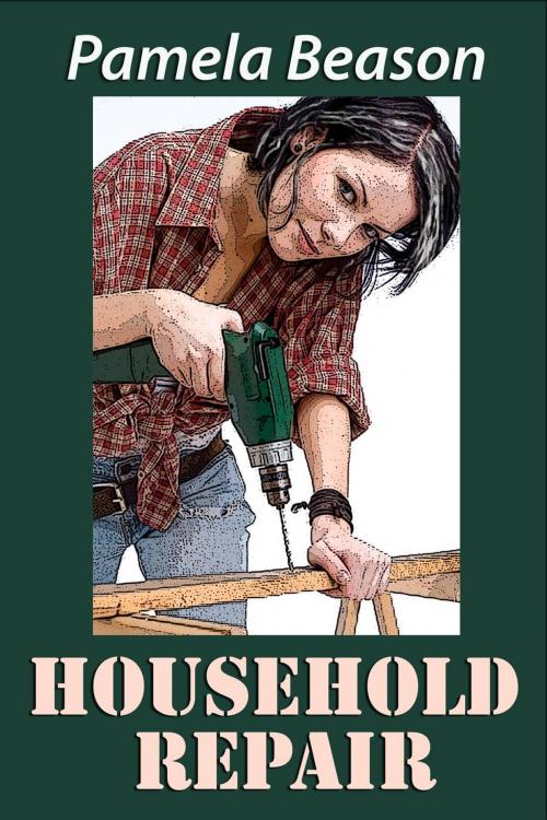 Cover of the book Household Repair: A Short Story by Pamela Beason, WildWing Press