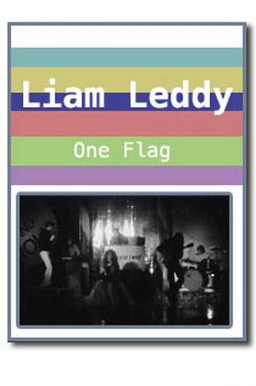 Cover of the book One Flag by Liam Leddy, Liam Leddy