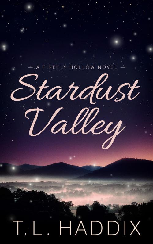 Cover of the book Stardust Valley by T. L. Haddix, Streetlight Graphics Publishing