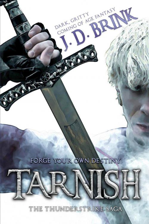 Cover of the book Tarnish: The Thunderstrike Saga by J. D. Brink, Fugitive Fiction