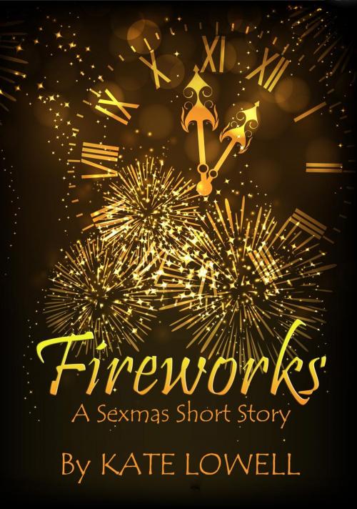 Cover of the book Fireworks by Kate Lowell, Kate Lowell