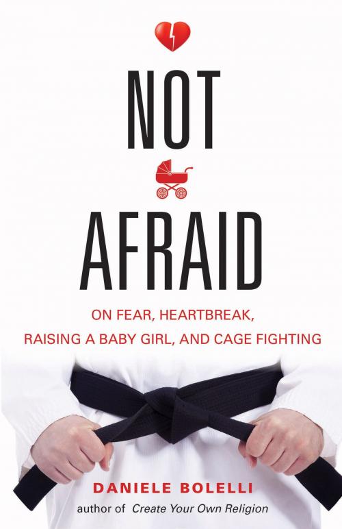 Cover of the book Not Afraid by Daniele Bolelli, Red Wheel Weiser