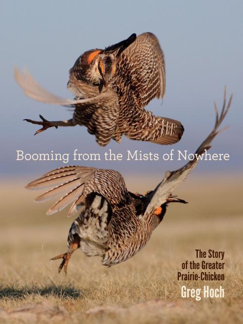 Cover of the book Booming from the Mists of Nowhere by Greg Hoch, University of Iowa Press