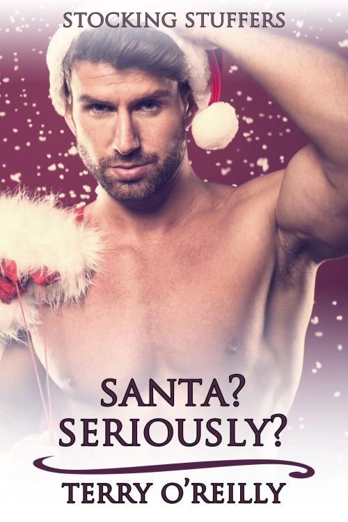 Cover of the book Santa? Seriously? by Terry O'Reilly, JMS Books LLC