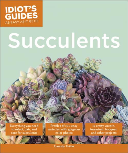 Cover of the book Succulents by Cassidy Tuttle, DK Publishing