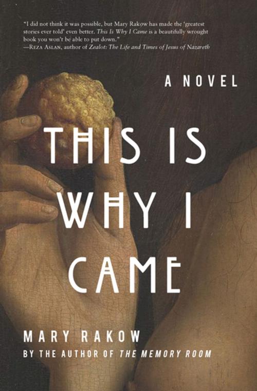 Cover of the book This Is Why I Came by Mary Rakow, Counterpoint Press
