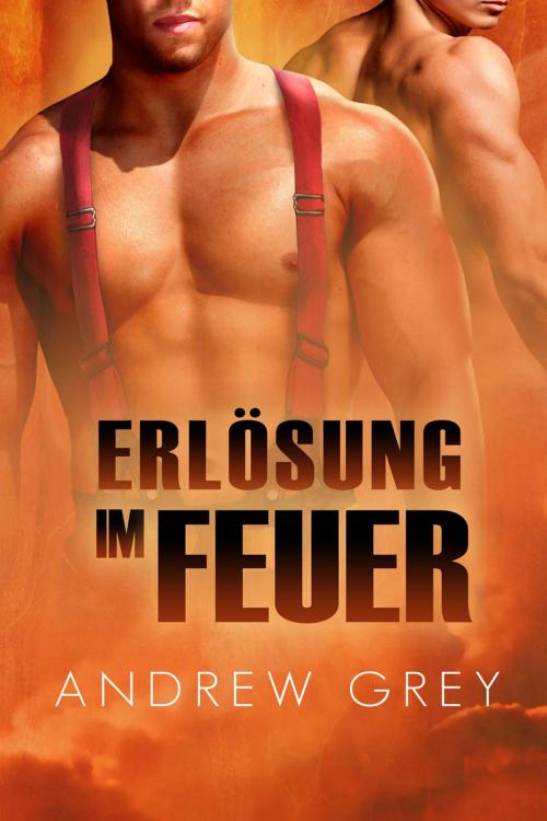 Cover of the book Erlösung im Feuer by Andrew Grey, Dreamspinner Press