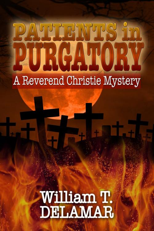 Cover of the book Patients in Purgatory by William T. Delamar, Rogue Phoenix Press