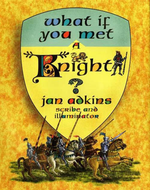 Cover of the book What If You Met a Knight? by Jan Adkins, Roaring Brook Press