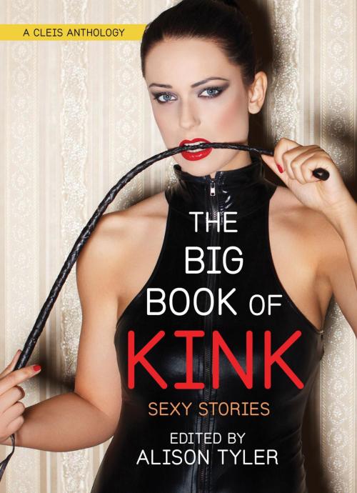 Cover of the book The Big Book of Kink by , Cleis Press