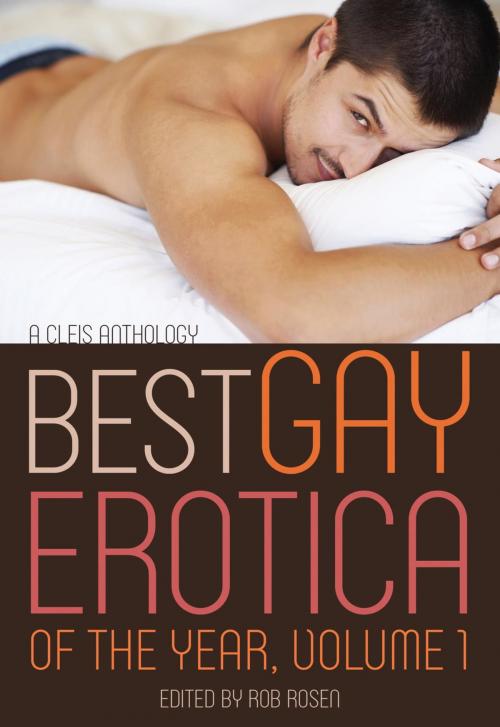 Cover of the book Best Gay Erotica of the Year by , Cleis Press