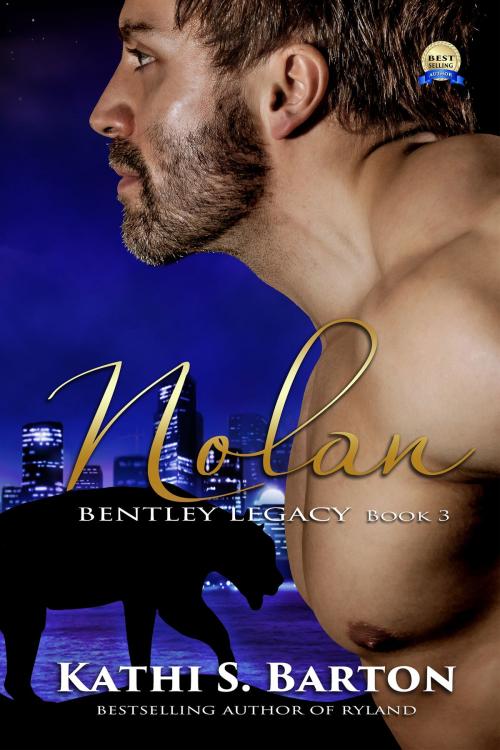 Cover of the book Nolan by Kathi S Barton, World Castle Publishing, LLC