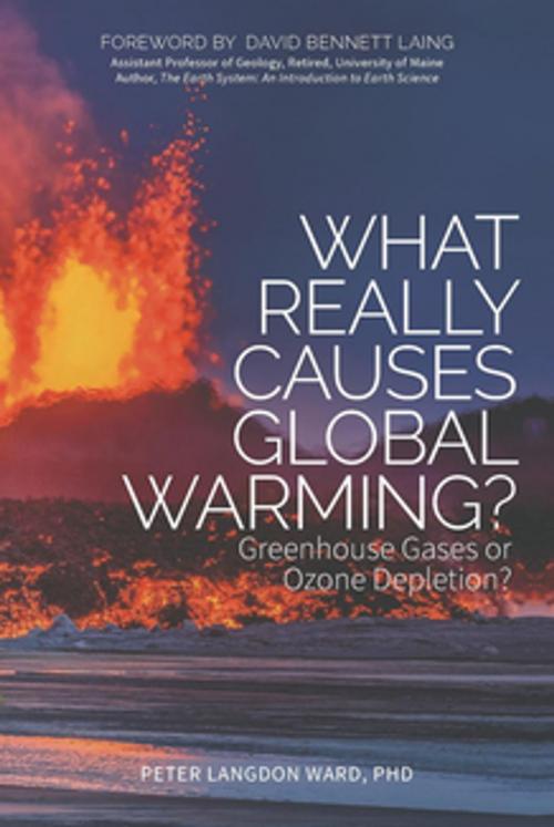 Cover of the book What Really Causes Global Warming? by Peter Langdon Ward, Ph.D, Morgan James Publishing