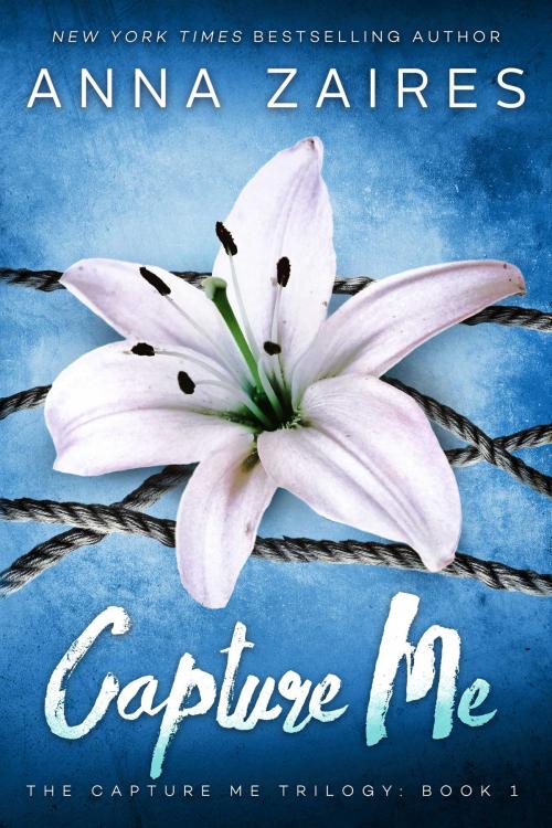 Cover of the book Capture Me by Anna Zaires, Dima Zales, Mozaika LLC