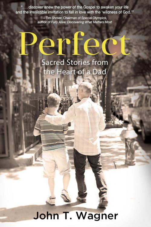 Cover of the book Perfect by John T. Wagner, Koehler Books