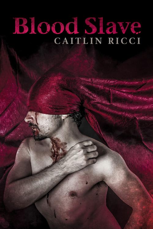 Cover of the book Blood Slave by Caitlin Ricci, Caitlin Ricci, Dreamspinner Press