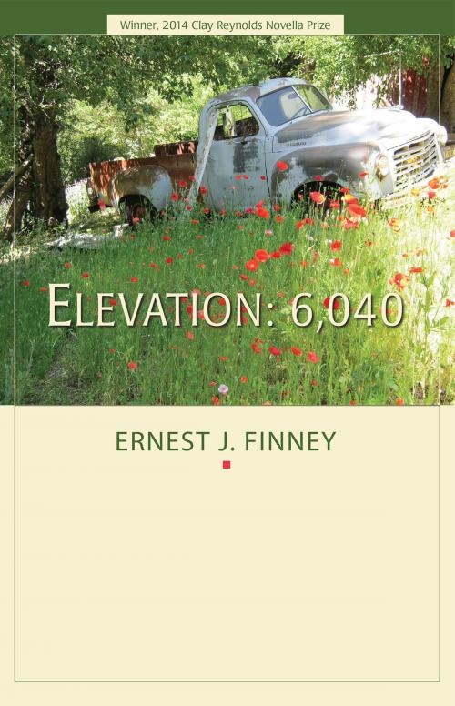Cover of the book Elevation: 6,040 by Ernest J. Finney, Texas Review Press