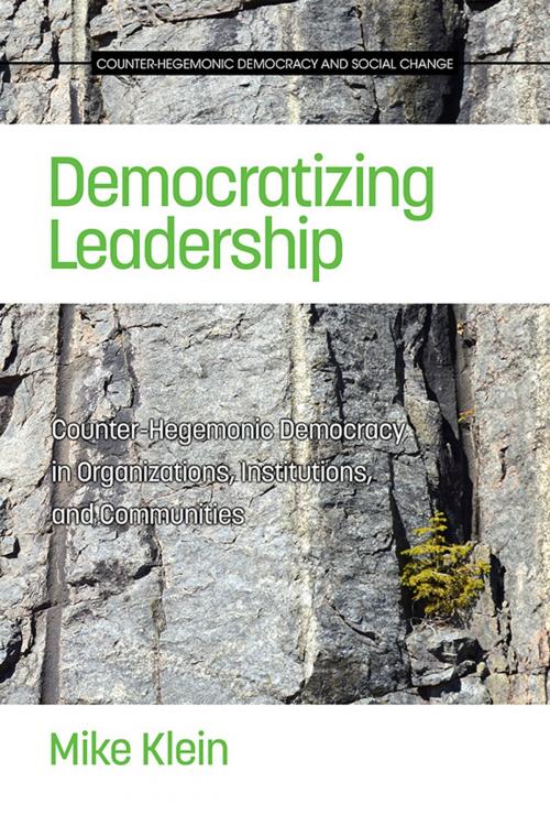 Cover of the book Democratizing Leadership by , Information Age Publishing
