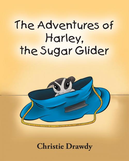 Cover of the book The Adventures of Harley the Sugar Glider by Christie Drawdy, Page Publishing, Inc.