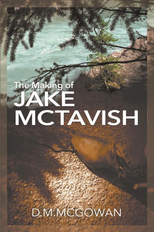 Cover of the book The Making of Jake McTavish by D. M. McGowan, Strategic Book Publishing & Rights Co.