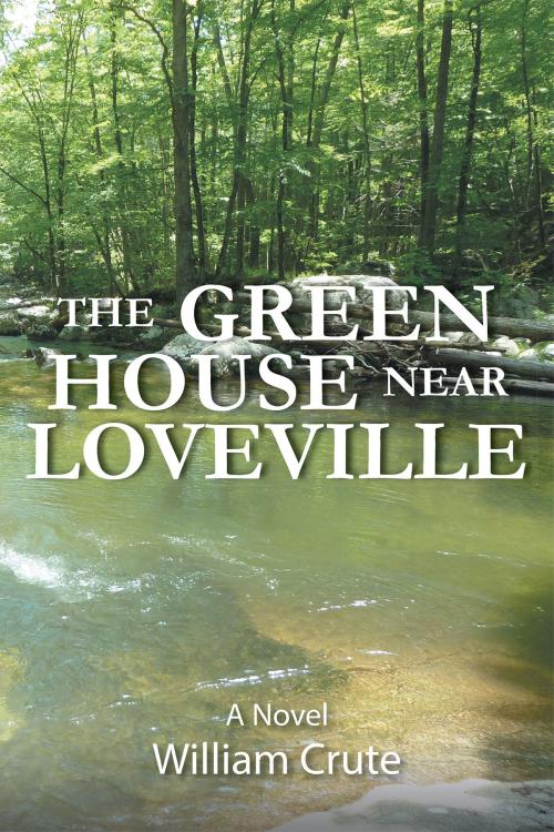 Cover of the book THE GREEN HOUSE near Loveville by William Crute, Page Publishing, Inc.