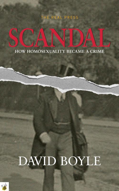Cover of the book Scandal by David Boyle, BookBaby