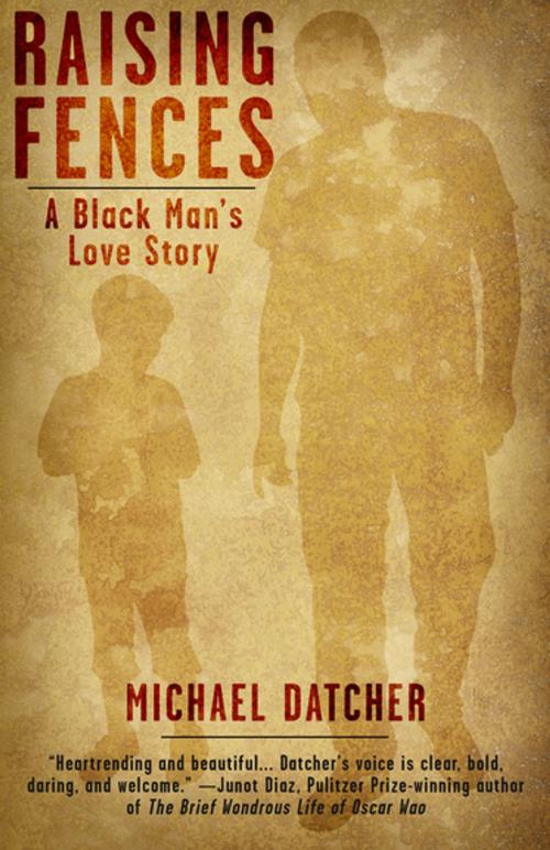 Cover of the book Raising Fences by Michael Datcher, Diversion Books