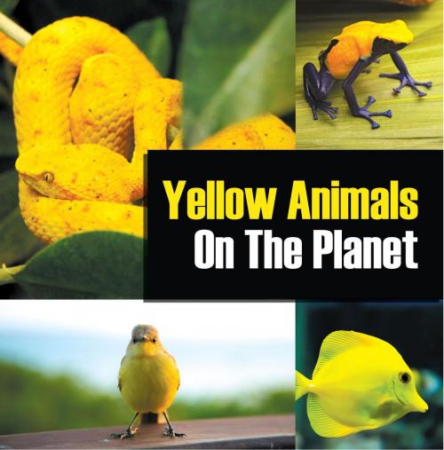 Cover of the book Yellow Animals On The Planet by Baby Professor, Speedy Publishing LLC