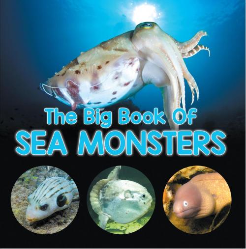 Cover of the book The Big Book Of Sea Monsters (Scary Looking Sea Animals) by Baby Professor, Speedy Publishing LLC