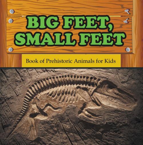 Cover of the book Big Feet, Small Feet : Book of Prehistoric Animals for Kids by Baby Professor, Speedy Publishing LLC