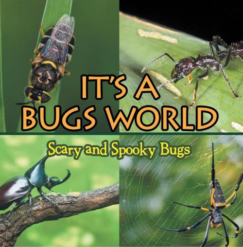 Cover of the book Its A Bugs World: Scary and Spooky Bugs by Baby Professor, Speedy Publishing LLC