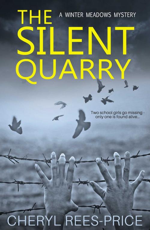 Cover of the book The Silent Quarry by Cheryl Rees-Price, Accent Press