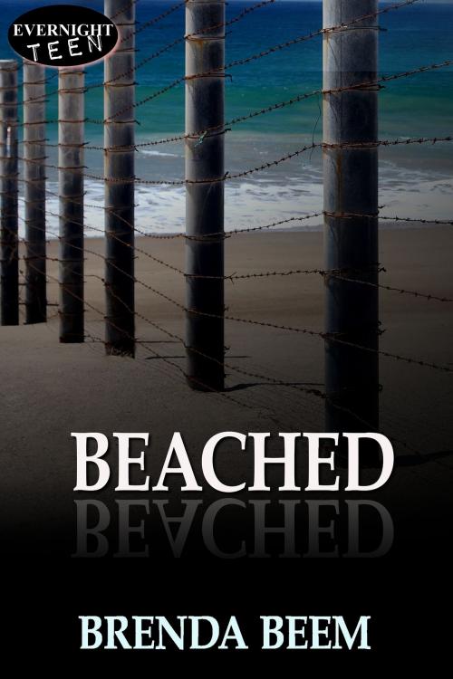 Cover of the book Beached by Brenda Beem, Evernight Teen