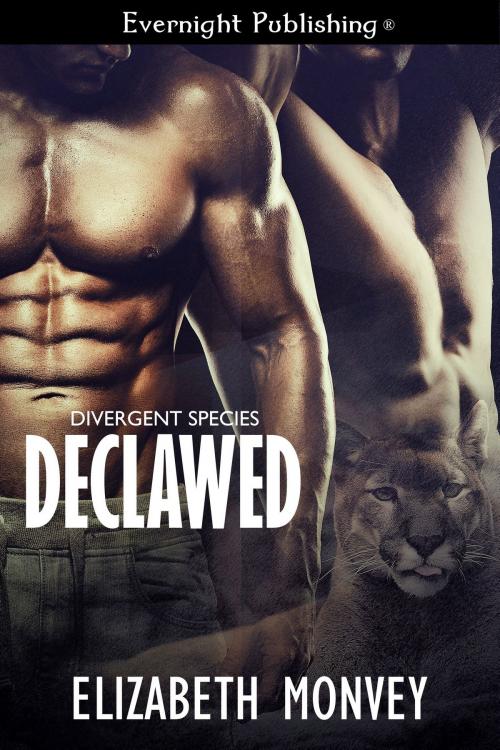 Cover of the book Declawed by Elizabeth Monvey, Evernight Publishing