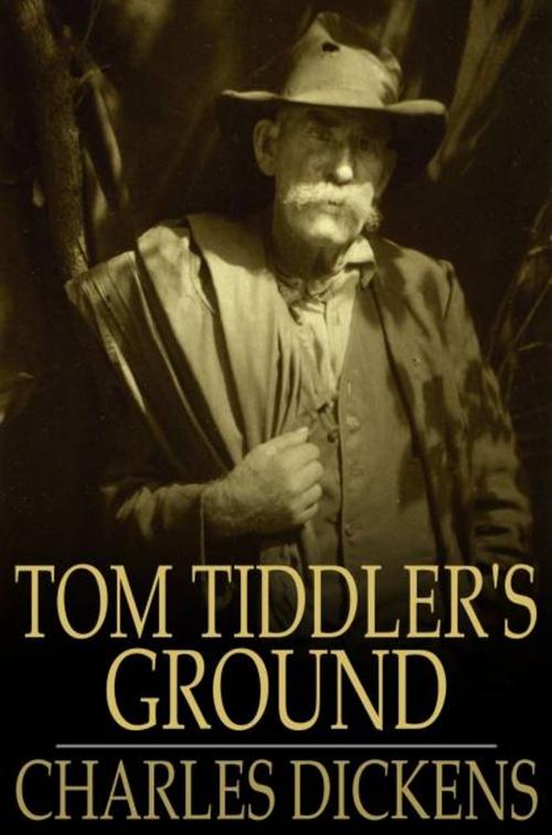 Cover of the book Tom Tiddler's Ground by Charles Dickens, The Floating Press