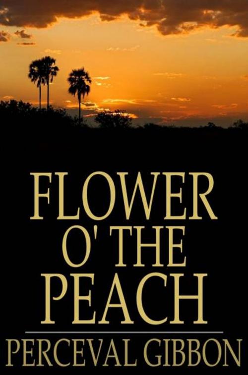Cover of the book Flower o' the Peach by Perceval Gibbon, The Floating Press