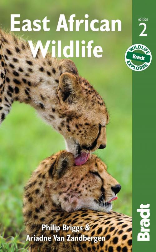 Cover of the book East African Wildlife by Philip Briggs, Ariadne Van Zandbergen, Bradt Travel Guides Ltd
