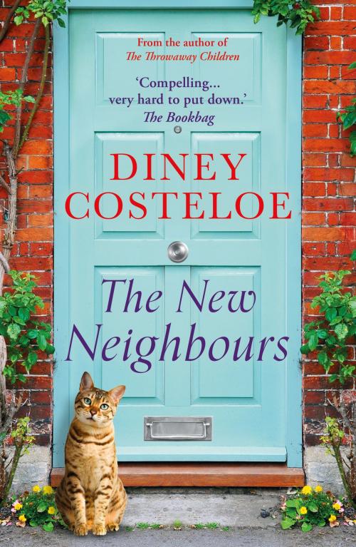 Cover of the book The New Neighbours by Diney Costeloe, Head of Zeus
