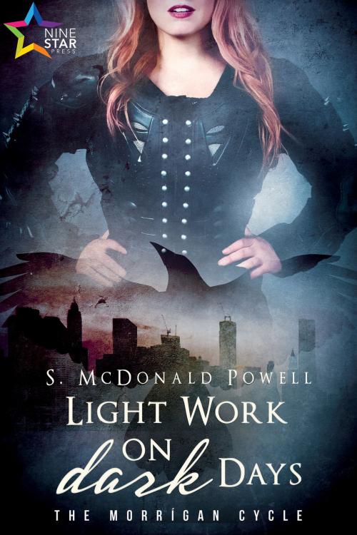 Cover of the book Light Work on Dark Days by S. McDonald Powell, NineStar Press
